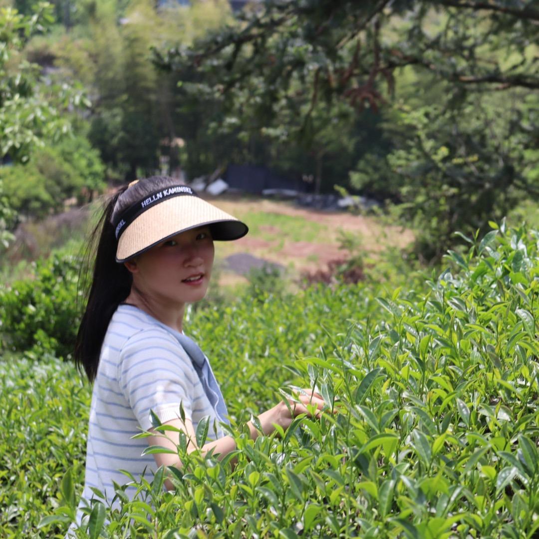 車钱岩茶叶
