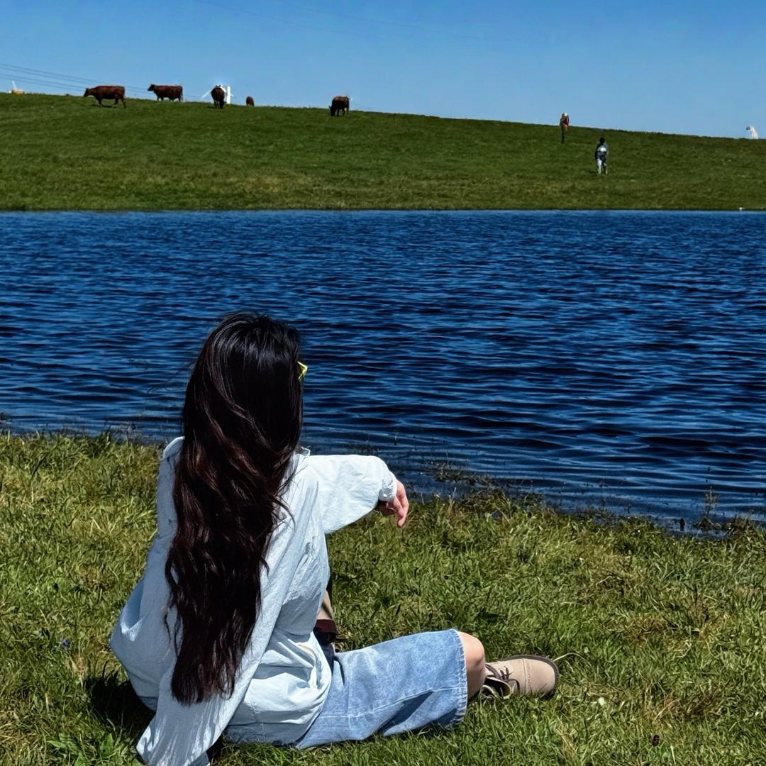 有金🌞.