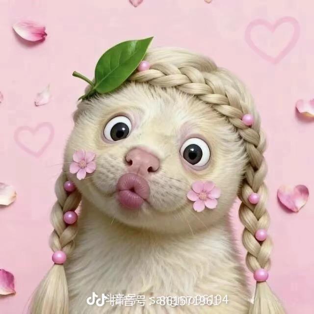 乖乖～