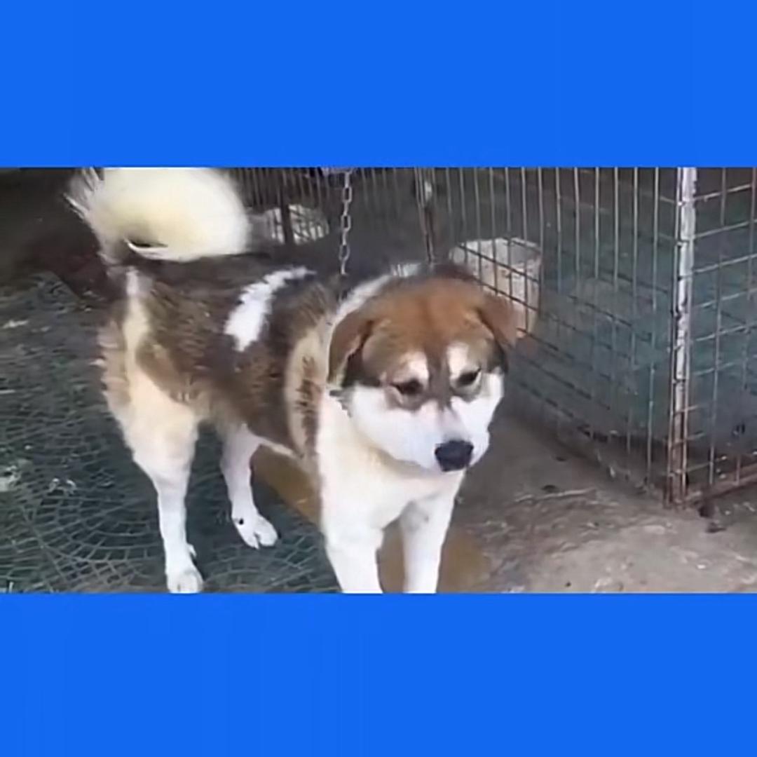 下一站