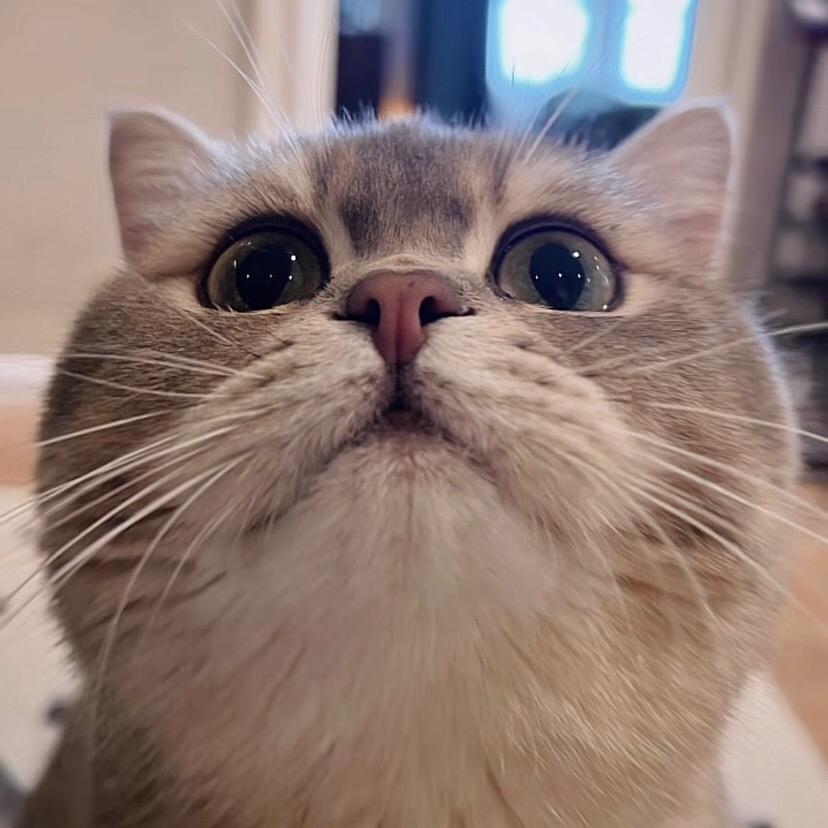 好运连连花开富贵马上发财