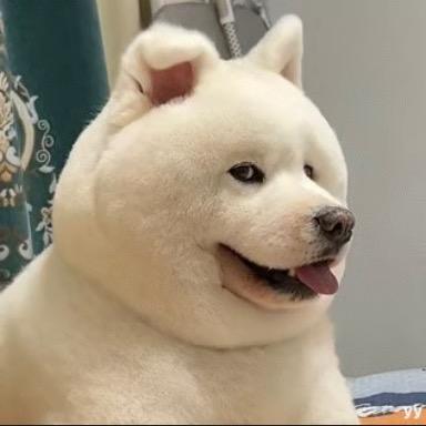 充电侠