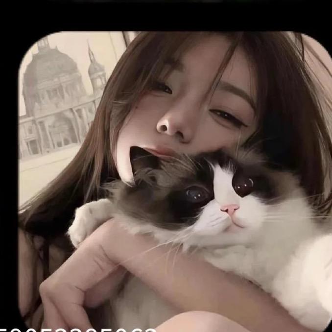 一只兔🐇🐾