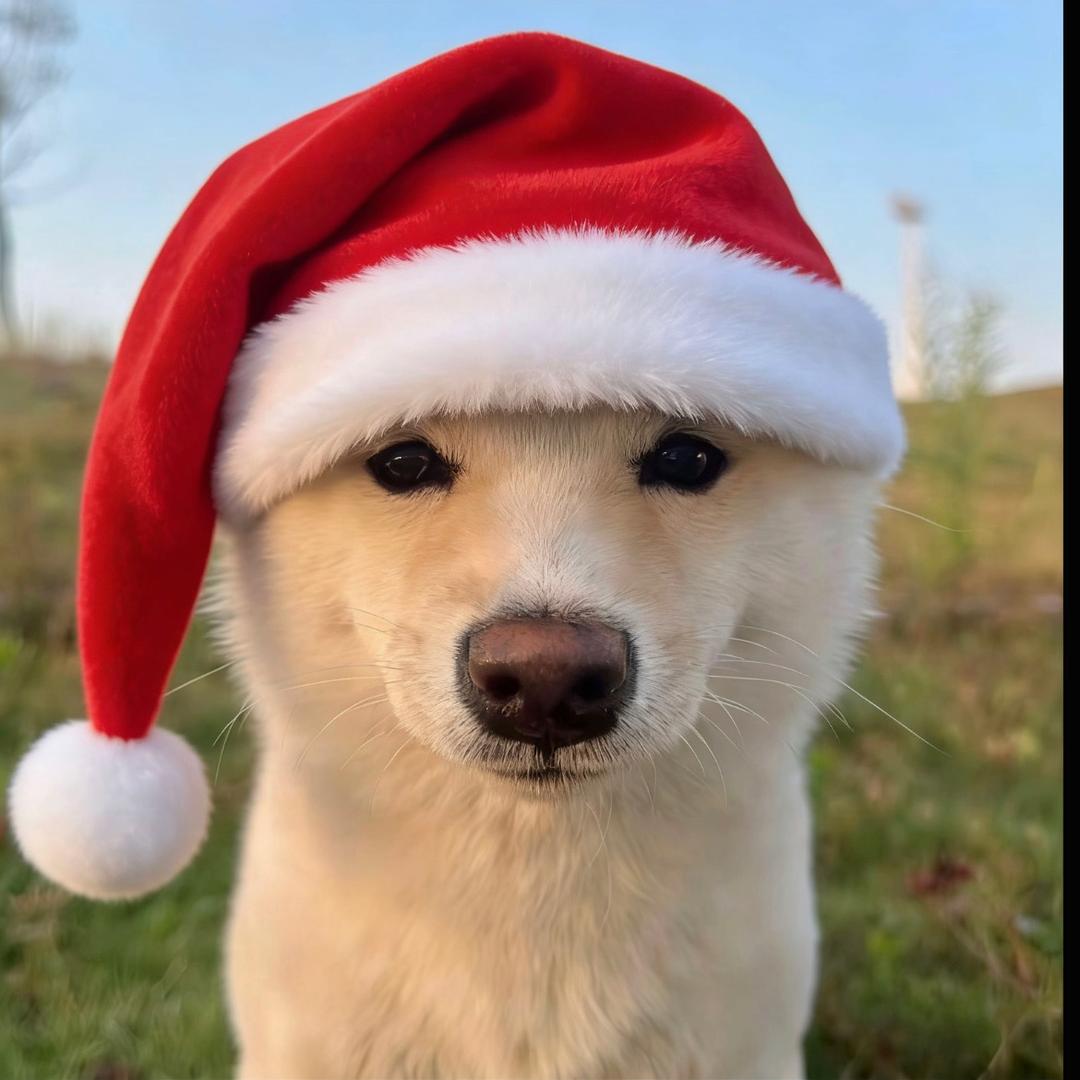 🔥马上来舅你⁶⁸¹