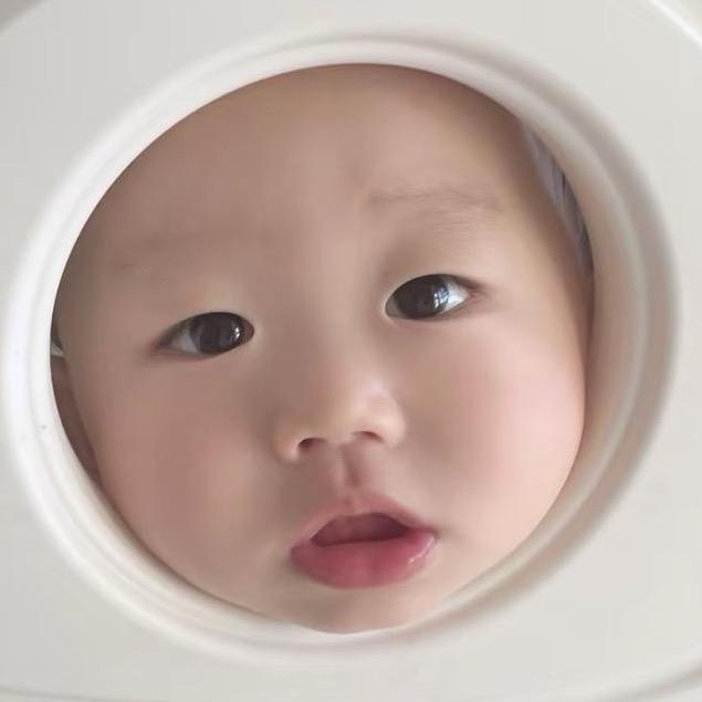 蛋蛋蛋