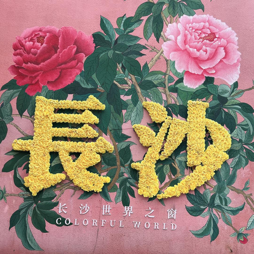 梦幻老登。