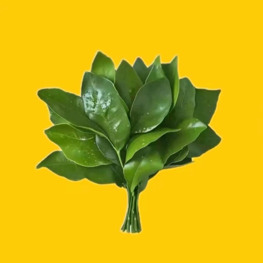 爱分享的千禧💛