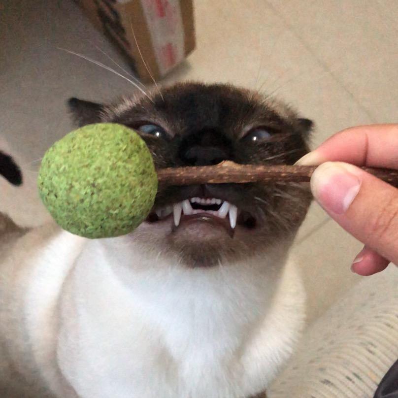 豌豆米米