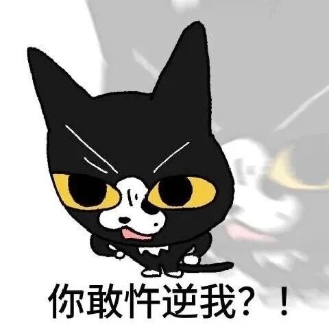 我亦飘零久