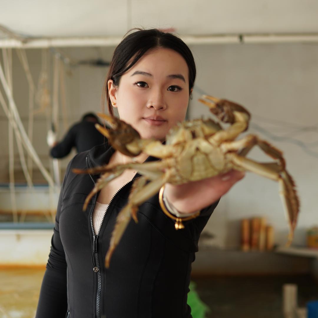 大闸蟹养殖基地（苏雨奕）