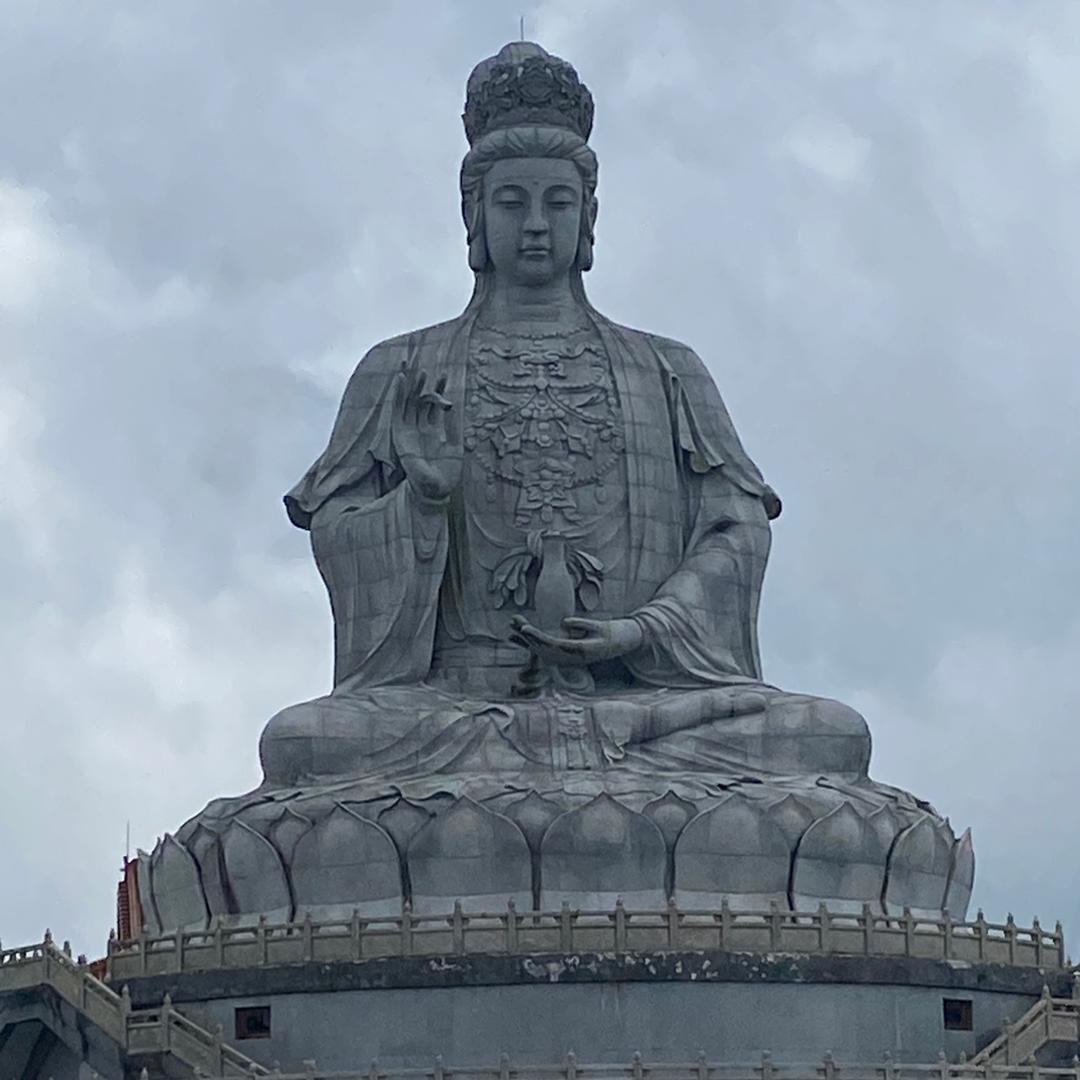 豫见小陈