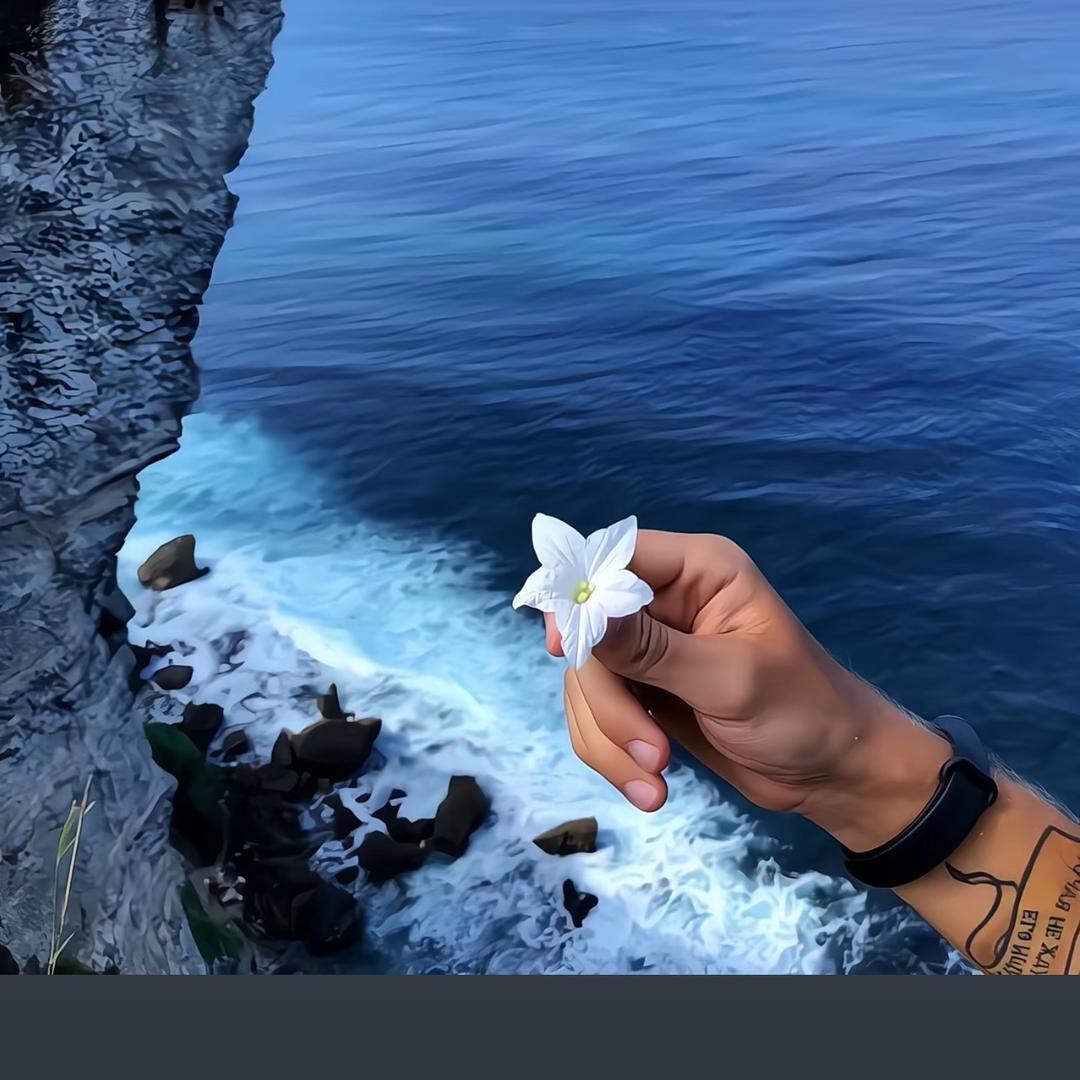 叶泽瀚宇