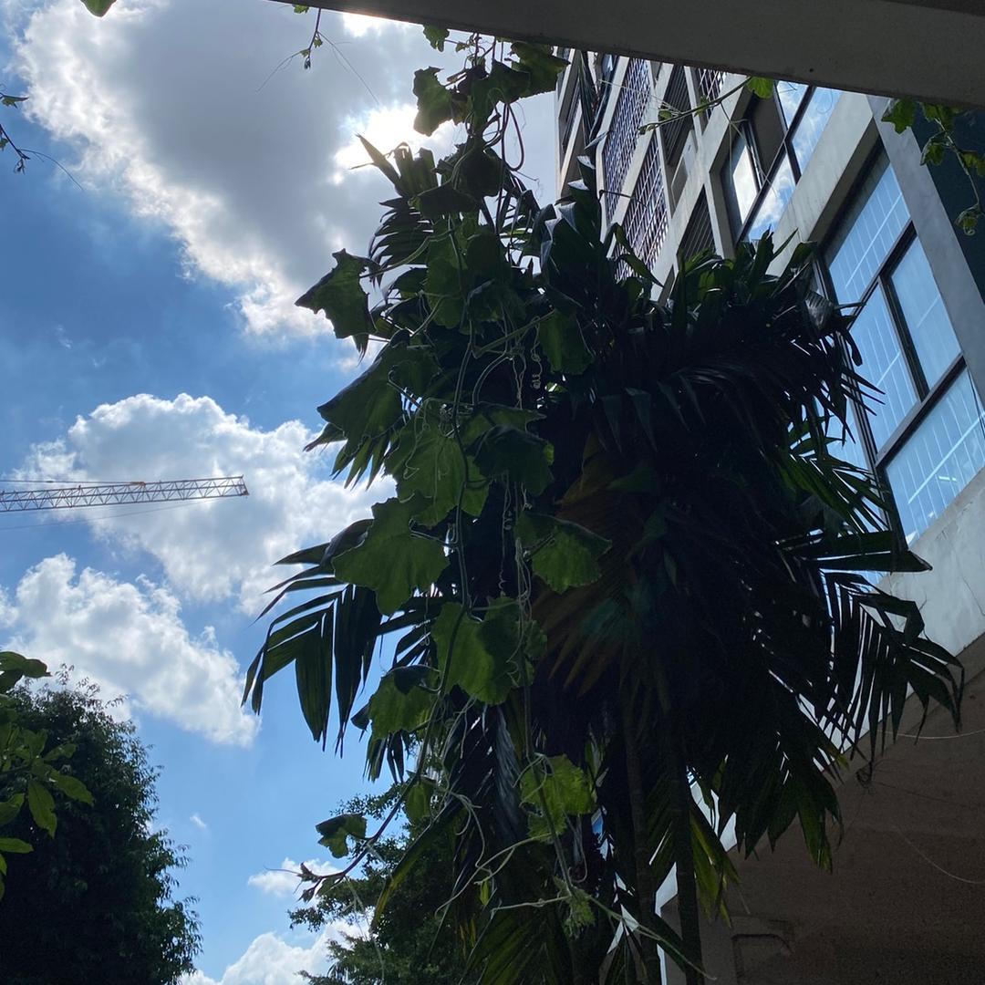 我是谁我在哪我在干嘛