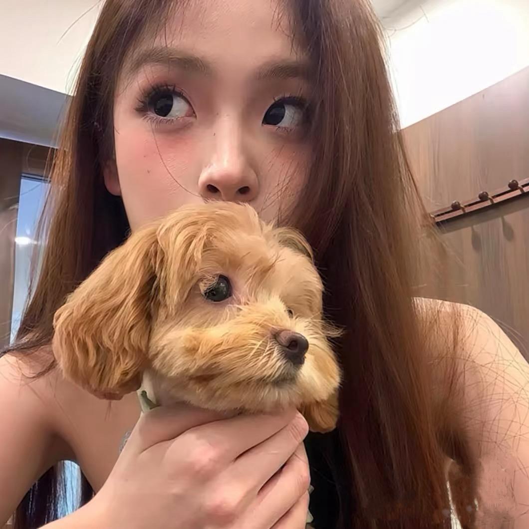 比巴卜