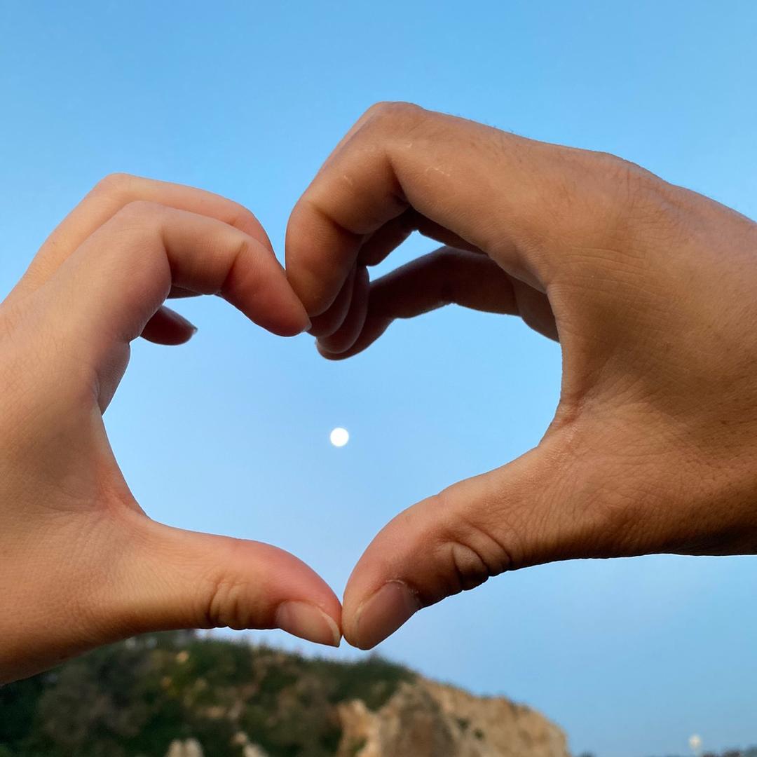 AovH 海