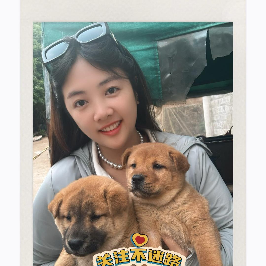 表妹的小土狗🐕(大⛰️寻狗记)