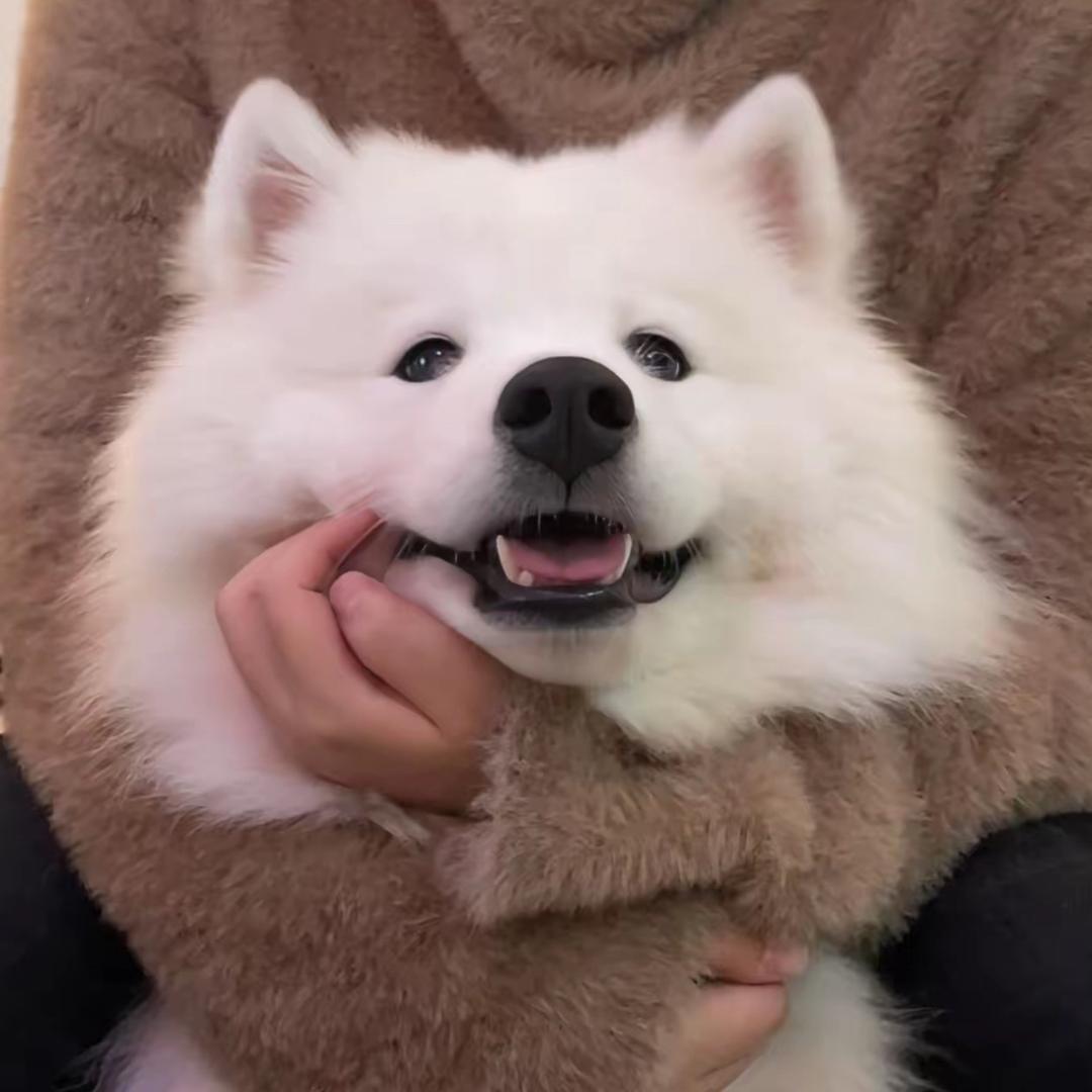 可乐工作室
