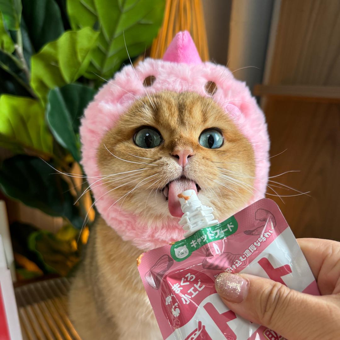 蛋蛋的杂货铺