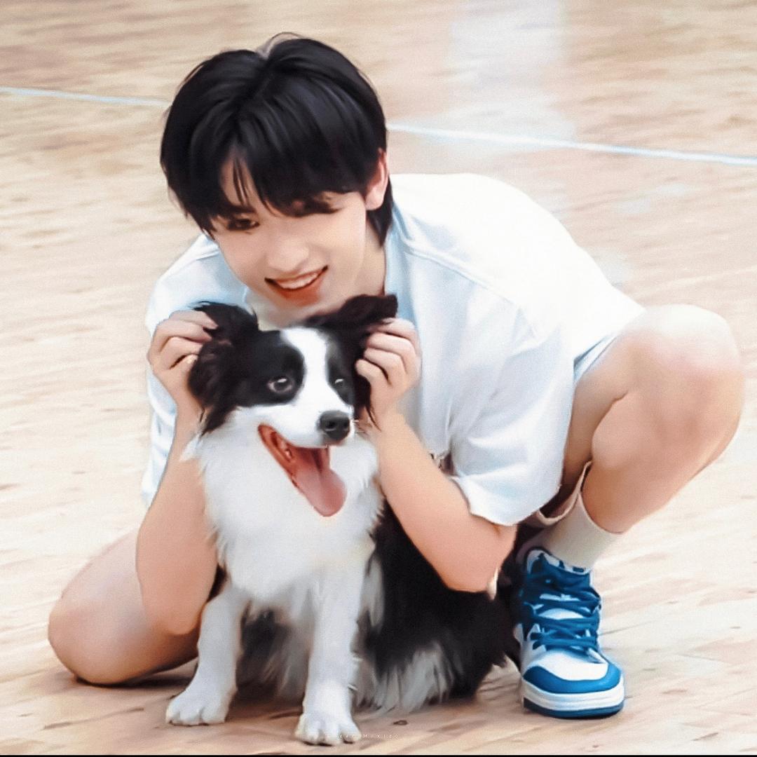 京畿道的兔子大王