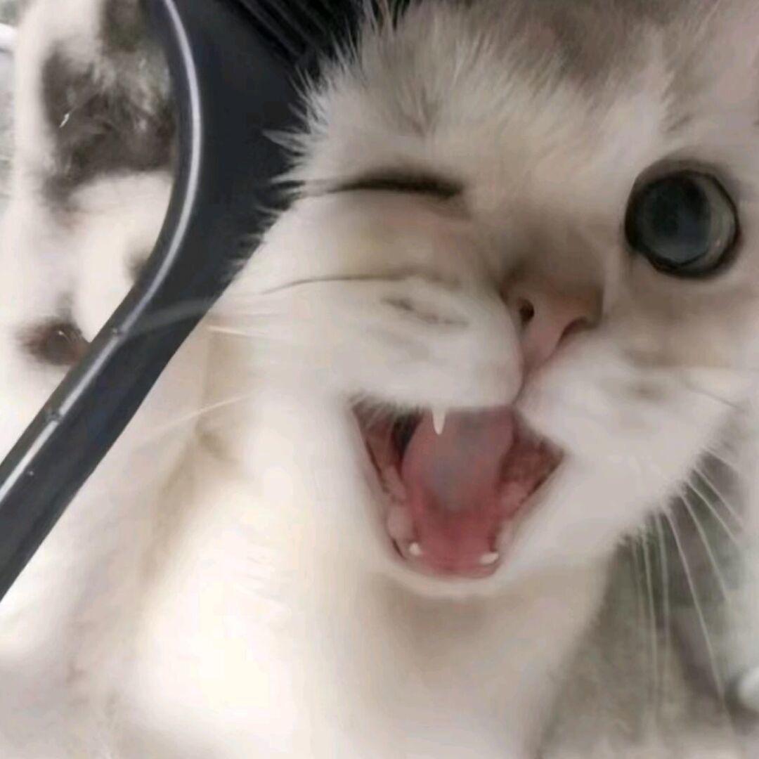 一天要睡十二小时