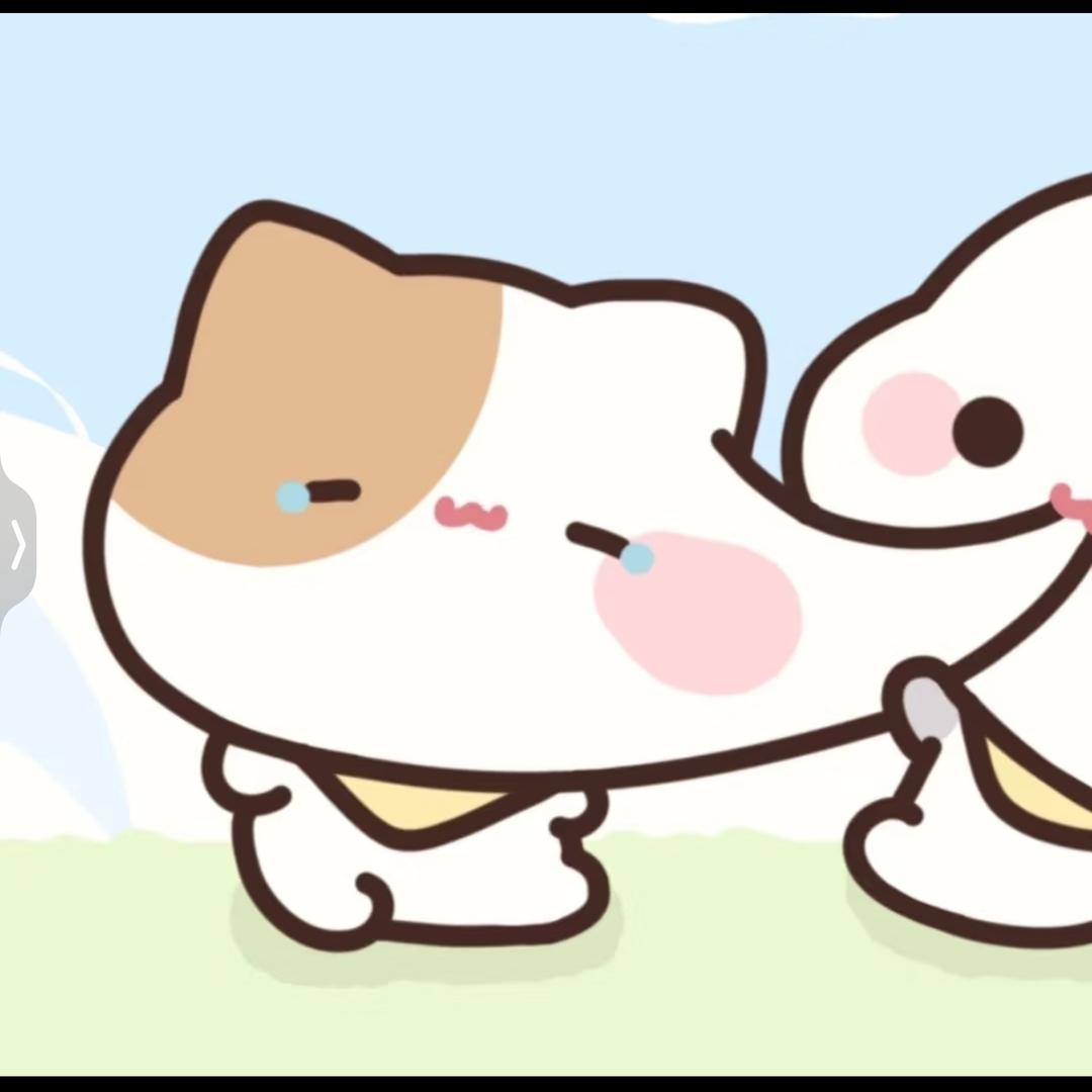 椰子面面