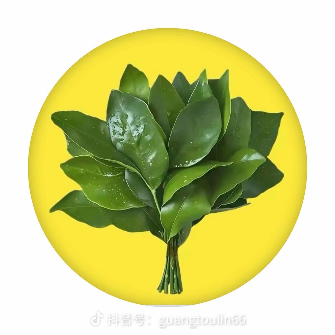 小澳吃喝玩乐🏃