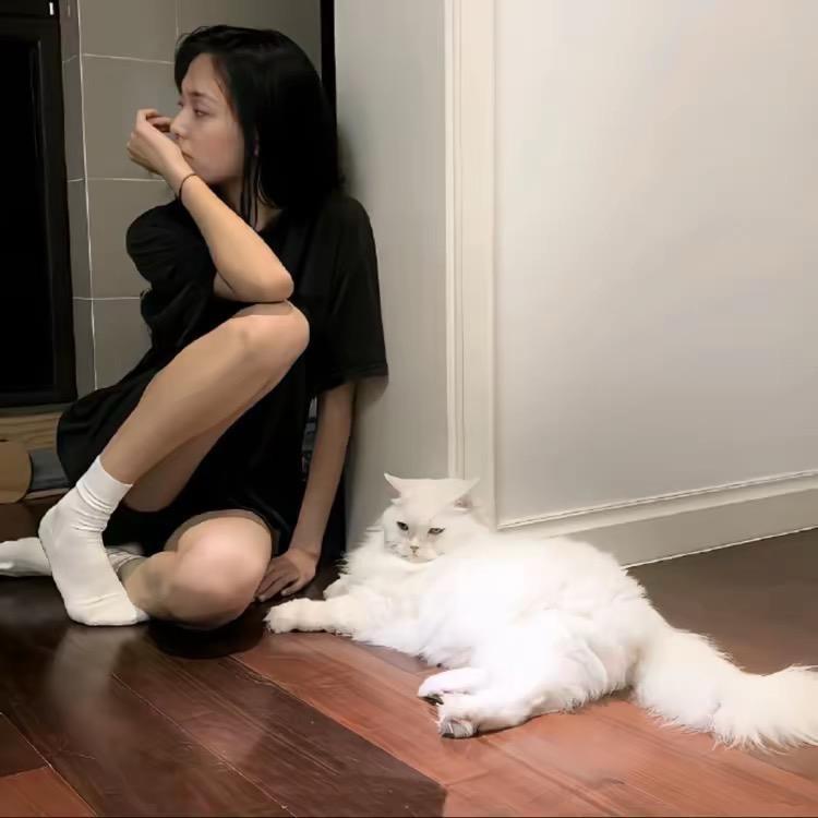 Yy_