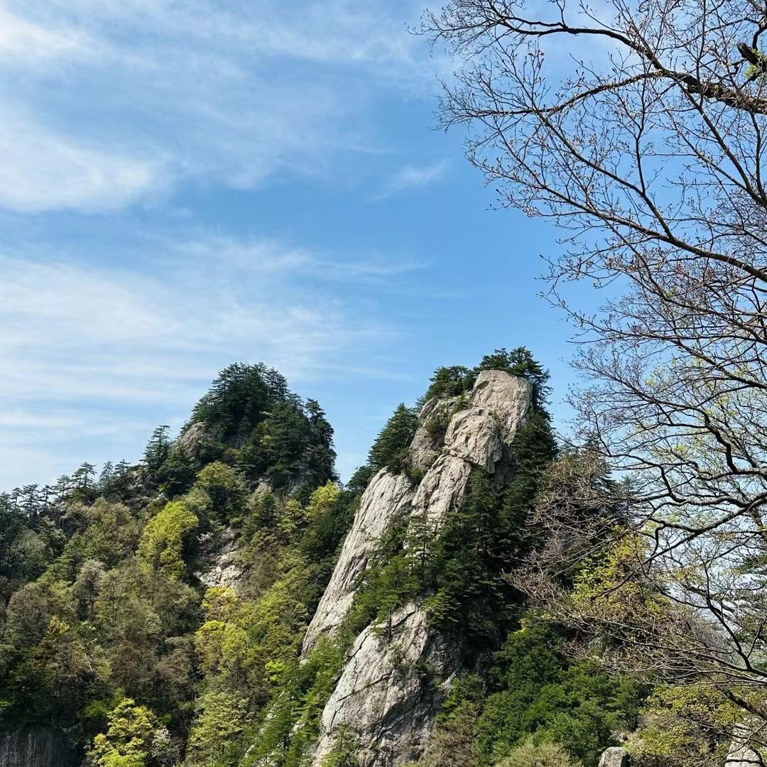 开拓者