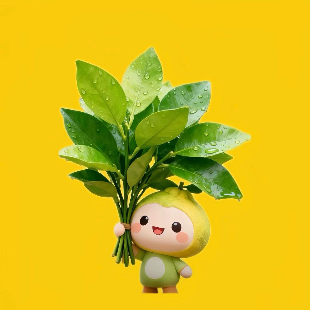 番茄茄是个萨摩耶~