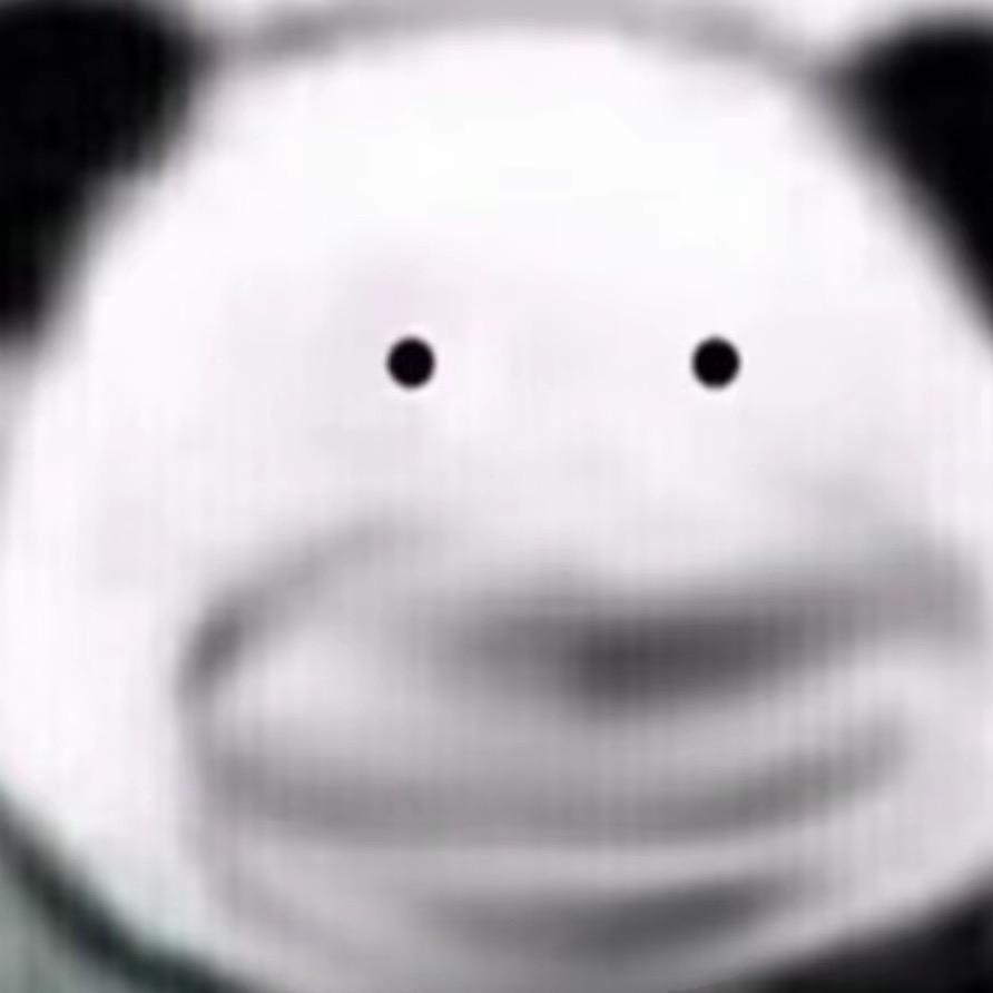 文