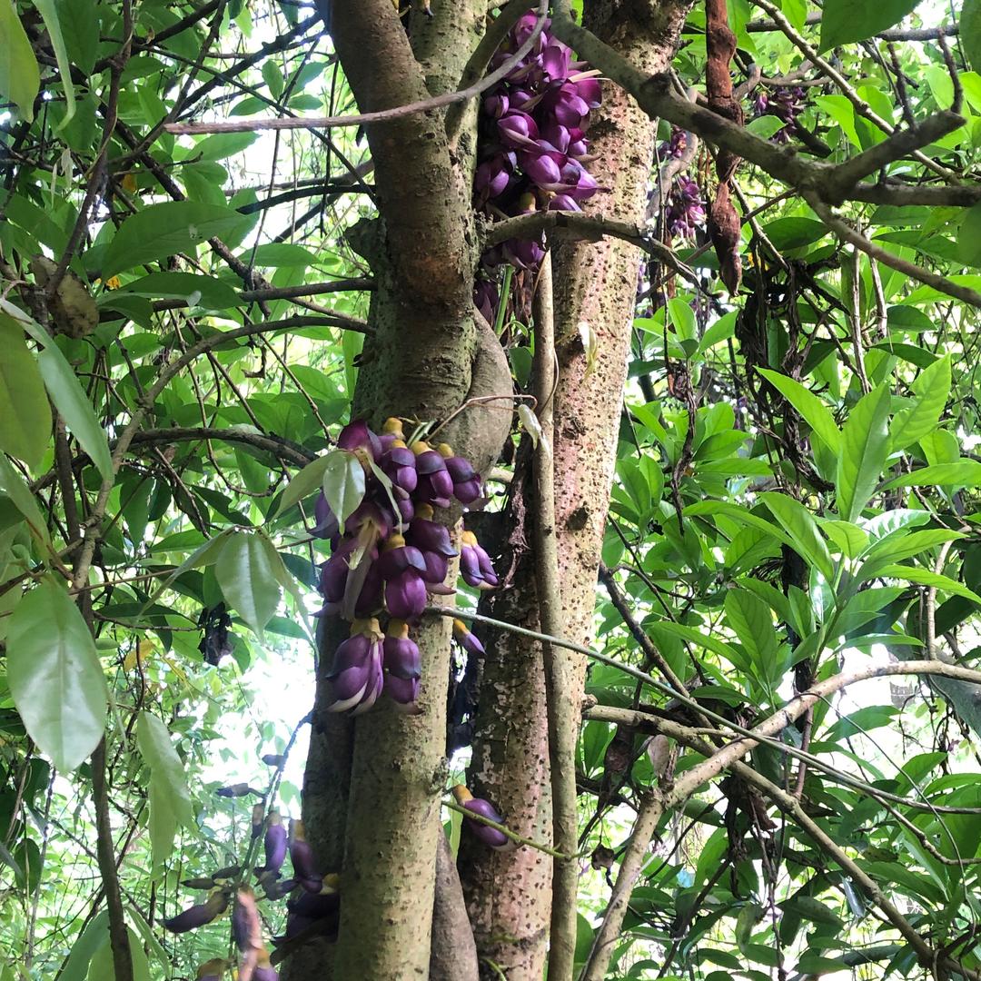 成都佳瑞达晟汽车