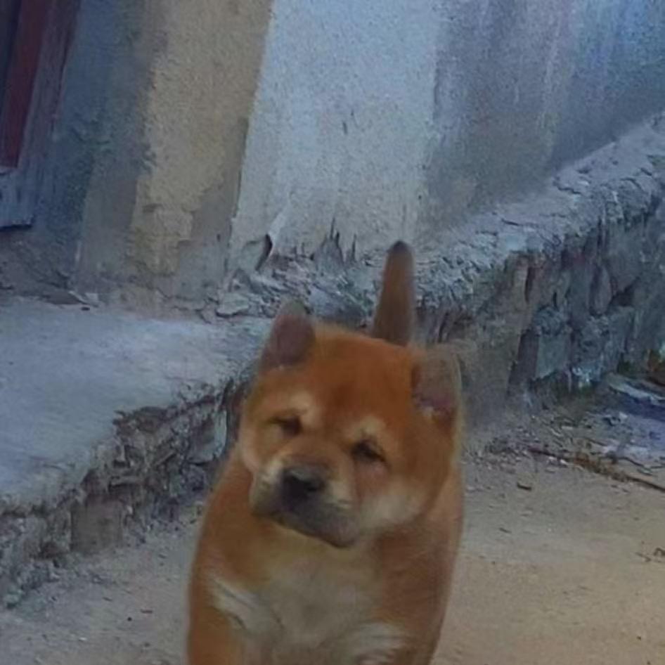111345998513