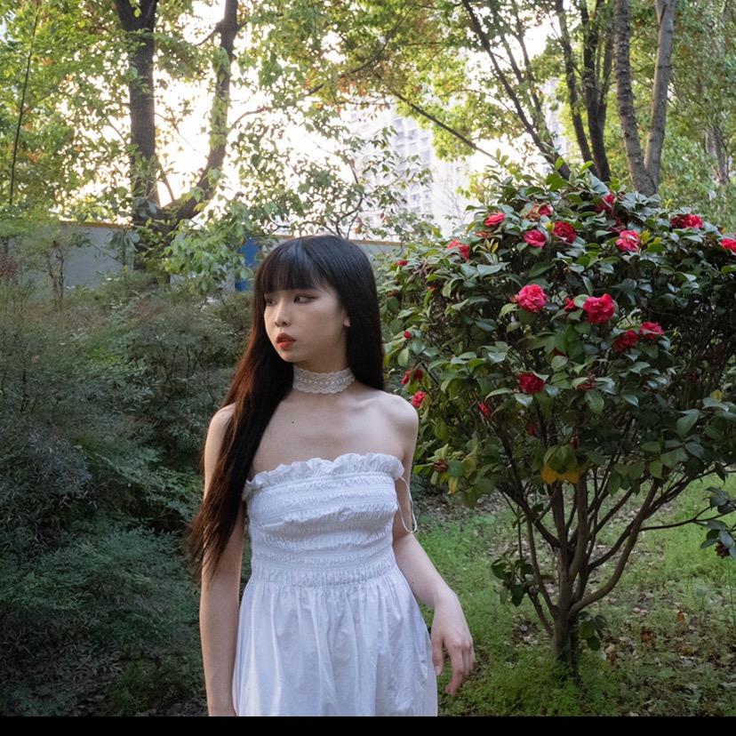 TIMI（学舞找我！）