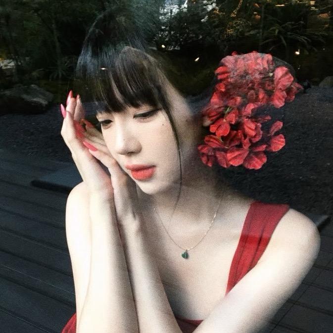 青柑普洱.