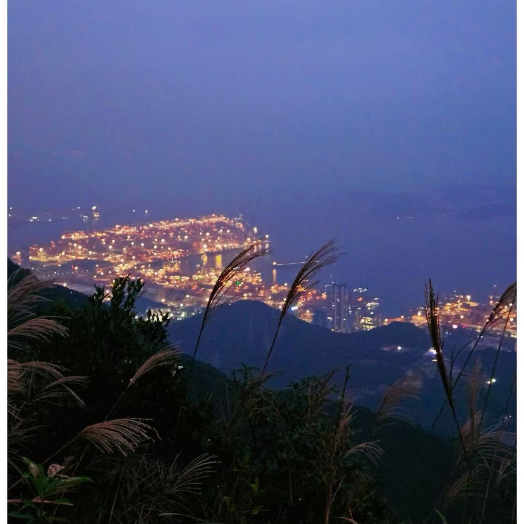 嘀哩嘀哩头像