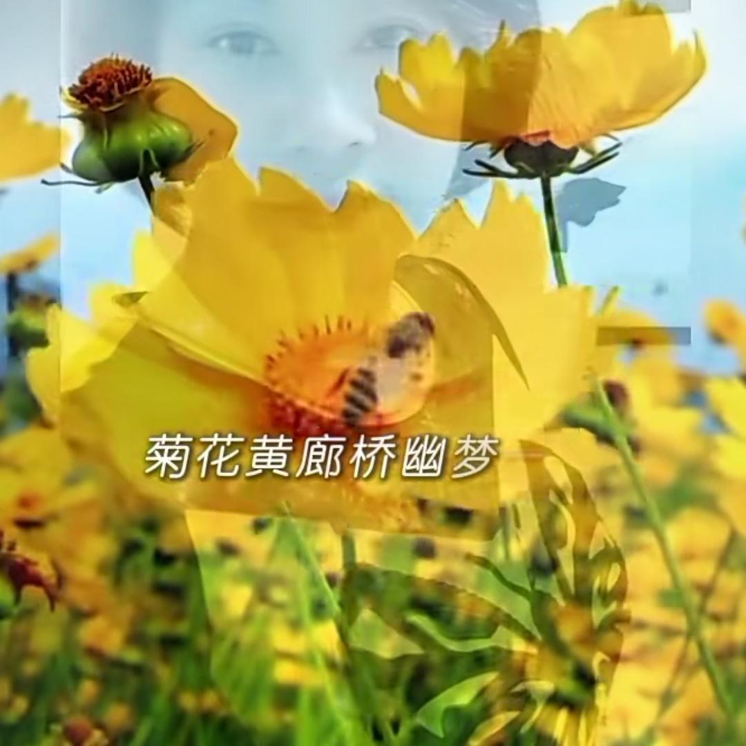 活在当下🌼🌼