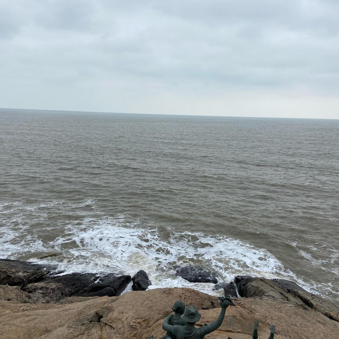 蒙牛上海官方直营店