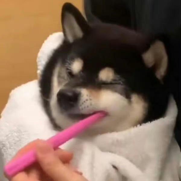 帅气不拿拿