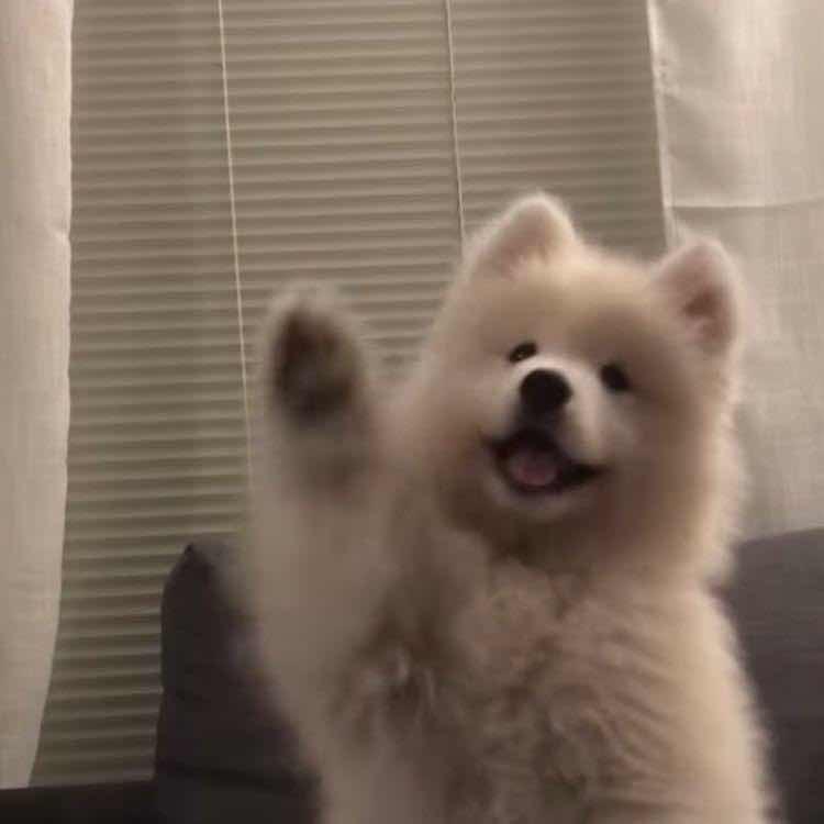 信号差差