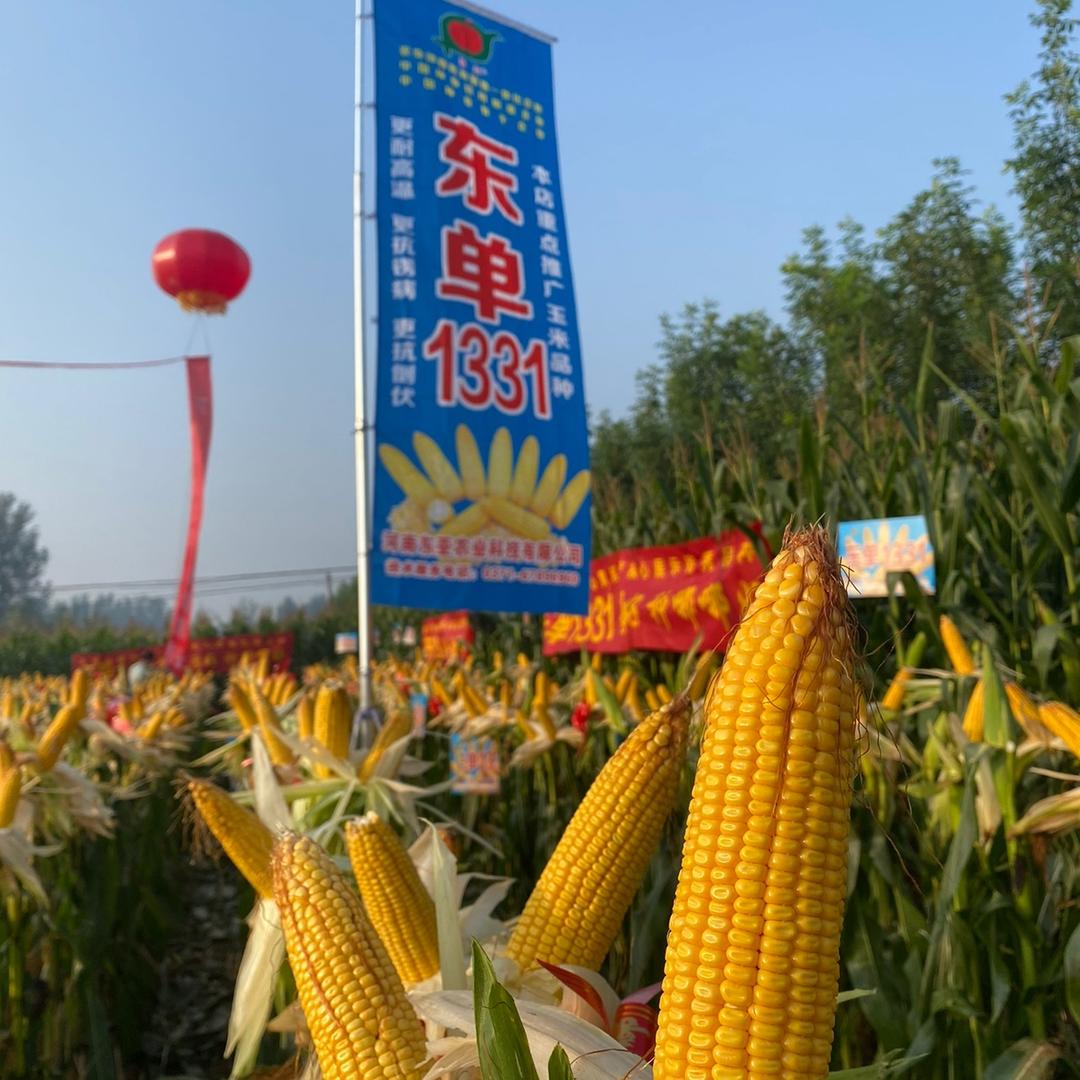 新乡兴仁惠农农资