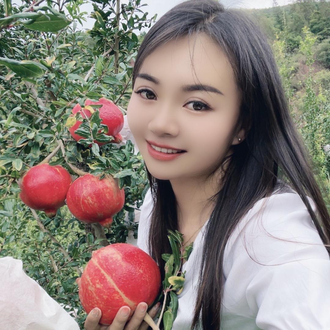 梅子姐姐的石榴