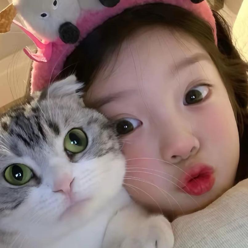 涵宝