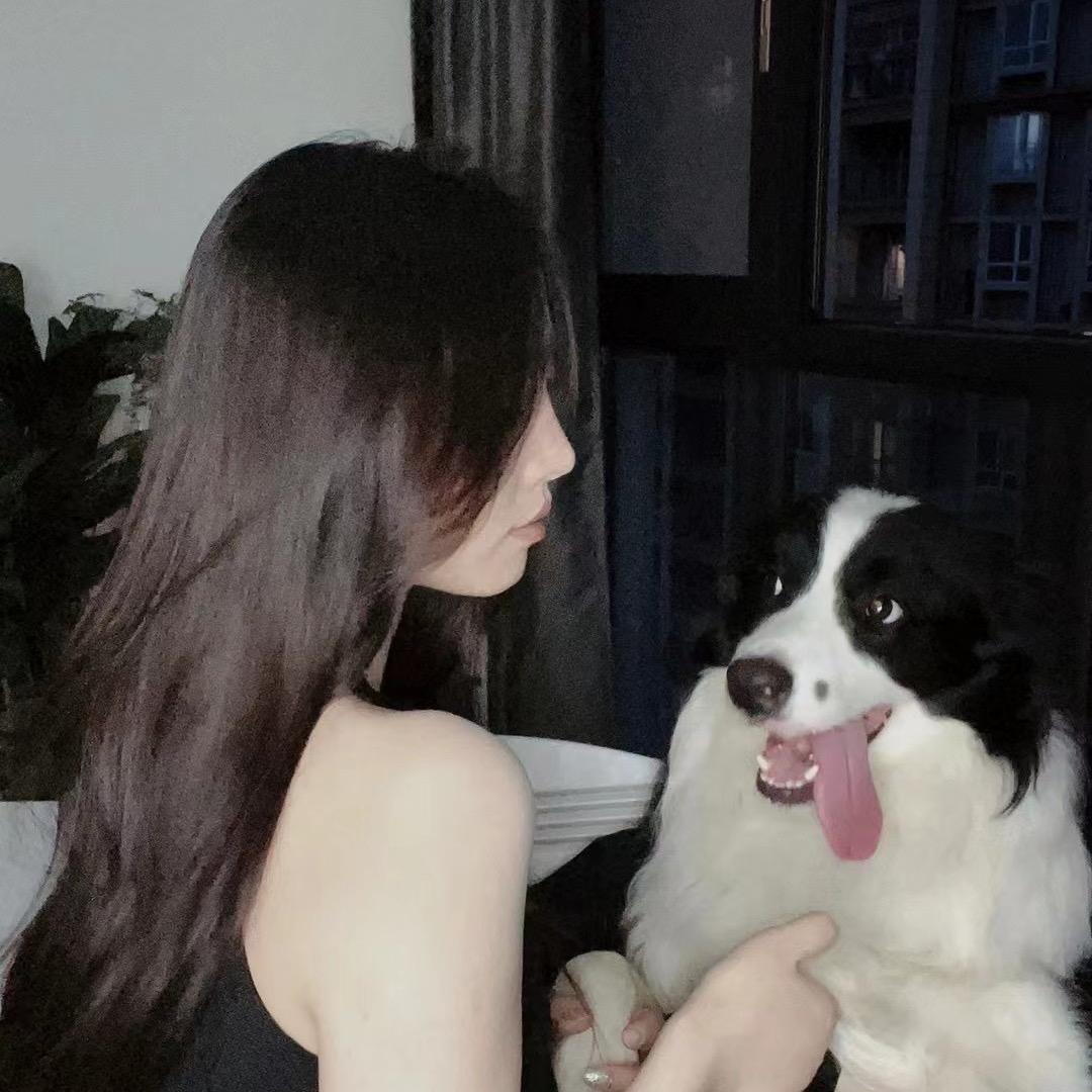 雨儿.