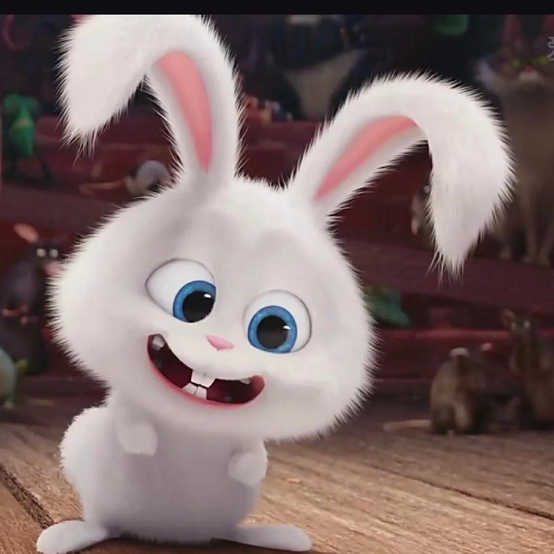 普锐麦克艺术漆-阿朵