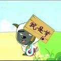 疯狂~小绵羊
