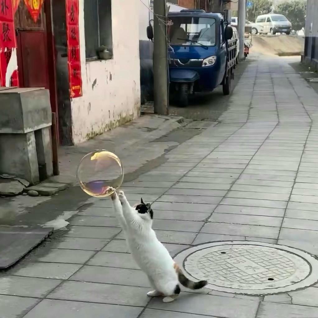 陪子兮看海