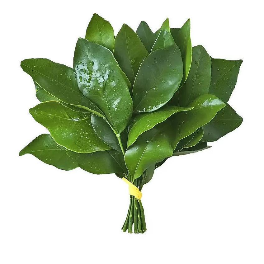 傅时予-（幸福版）