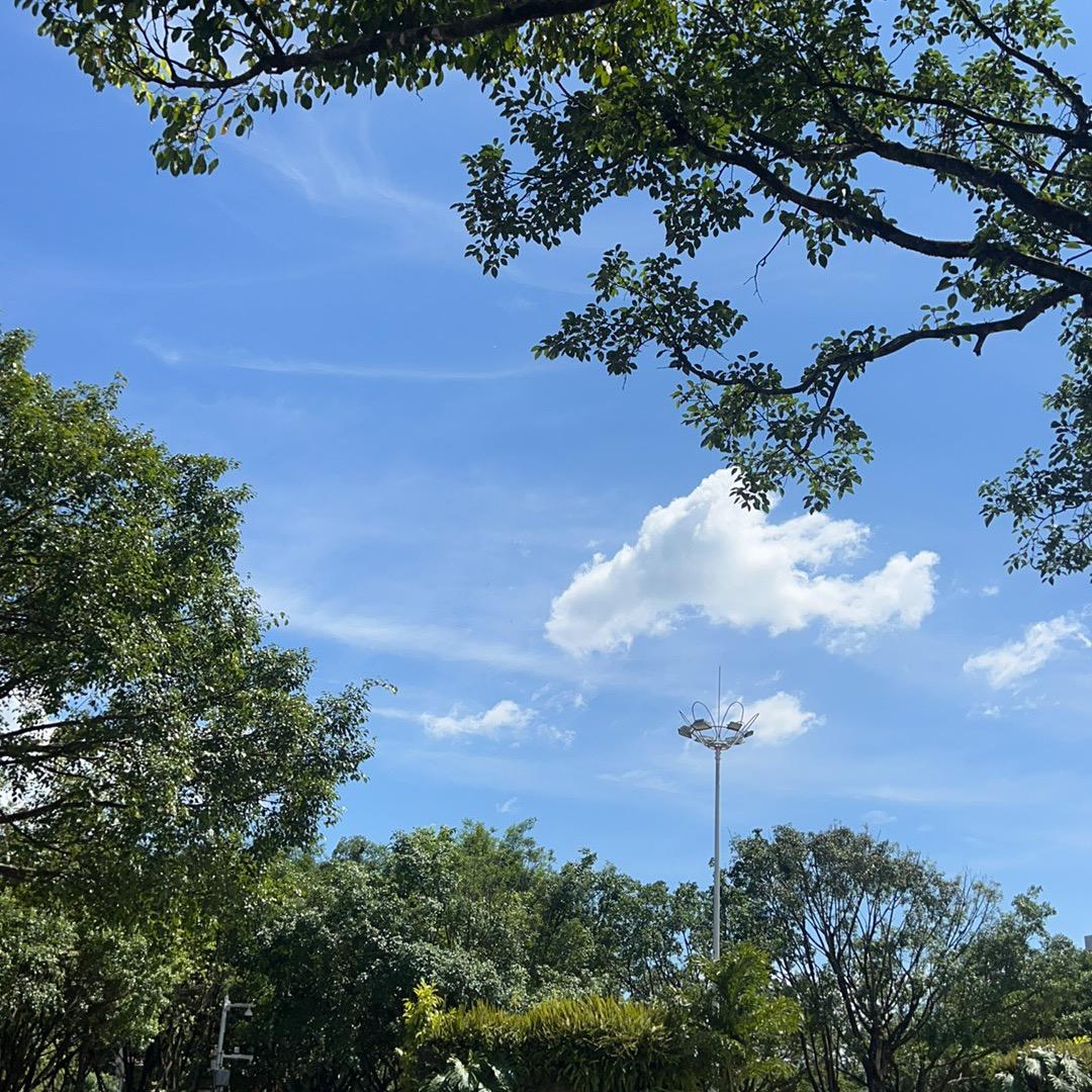 日常分享（授权号）