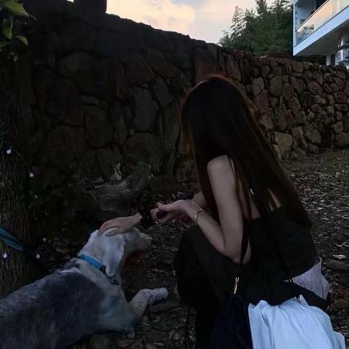 ゛🧸熊熊