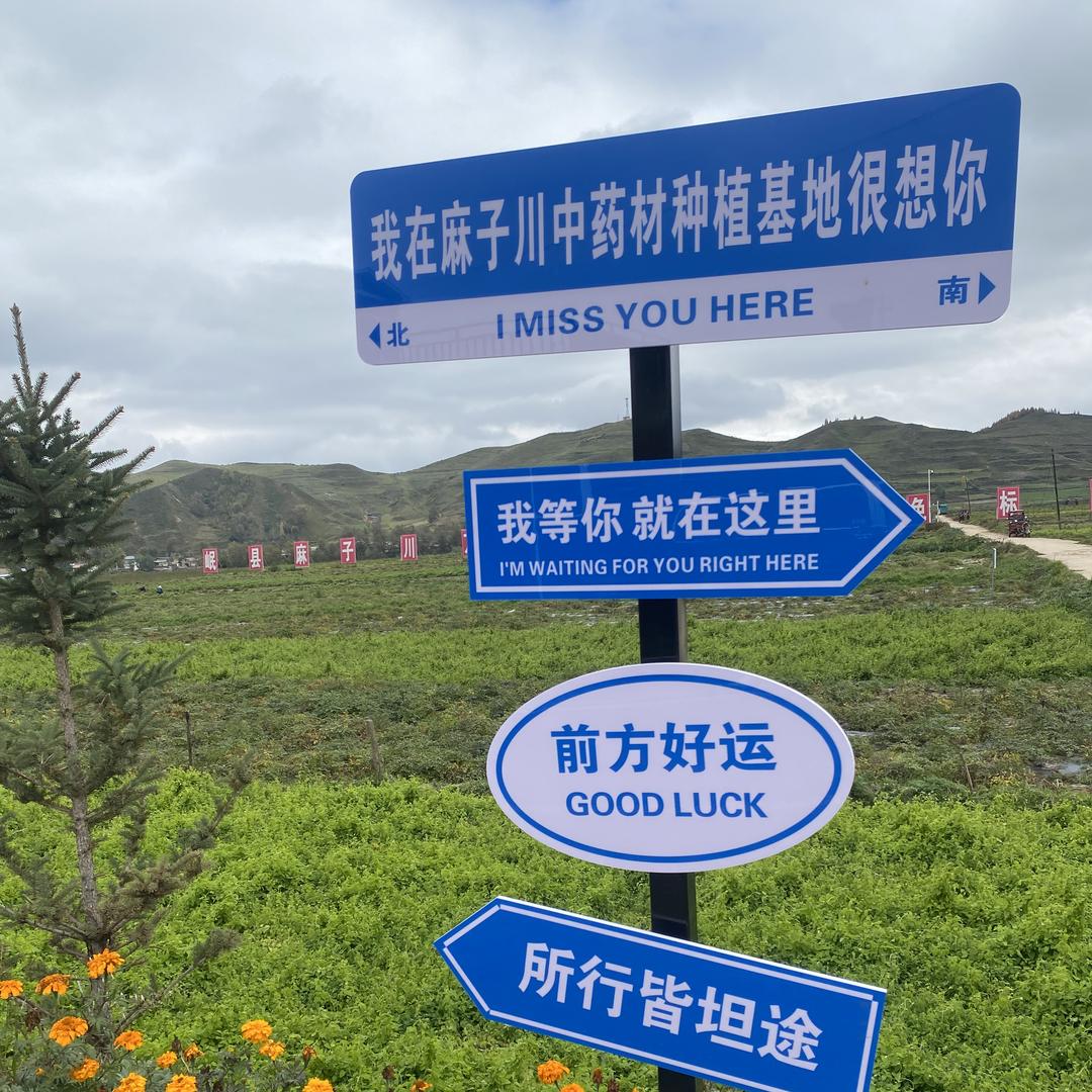 甘肃岷县原产特色农产品店